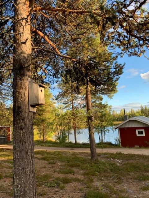 Off-Grid Cabin In Nattavaara Lapland Eksteriør billede
