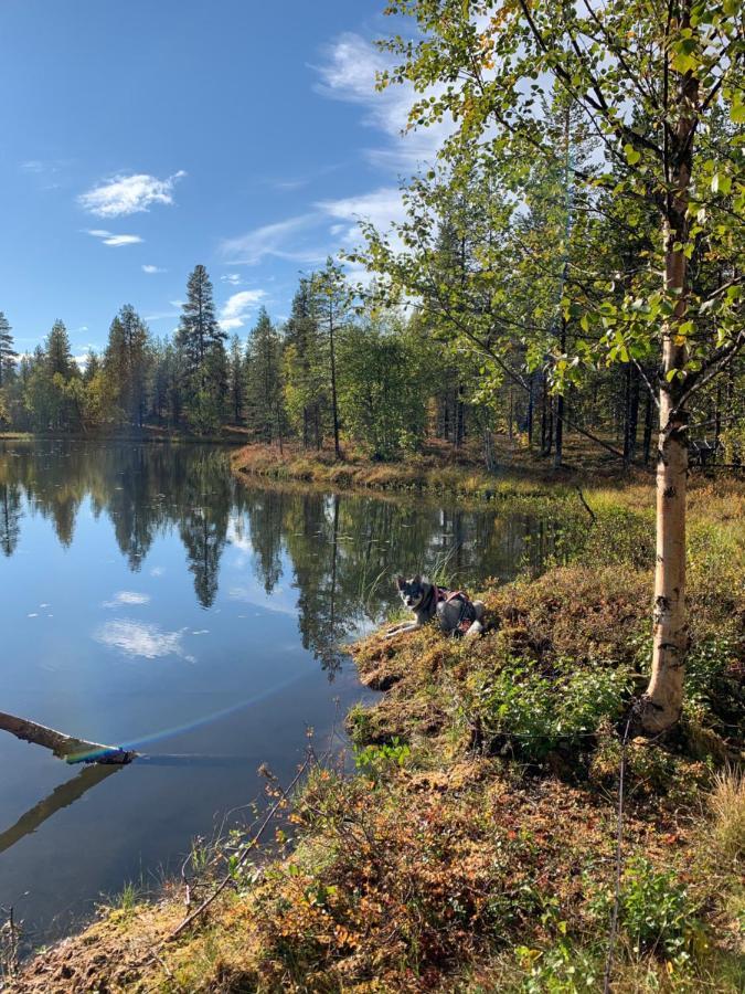 Off-Grid Cabin In Nattavaara Lapland Eksteriør billede