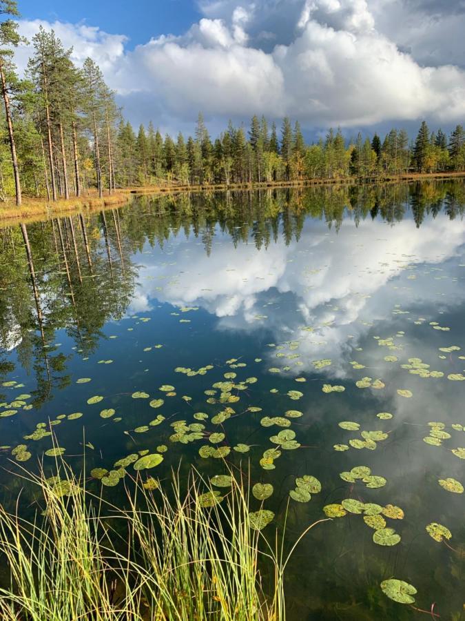 Off-Grid Cabin In Nattavaara Lapland Eksteriør billede