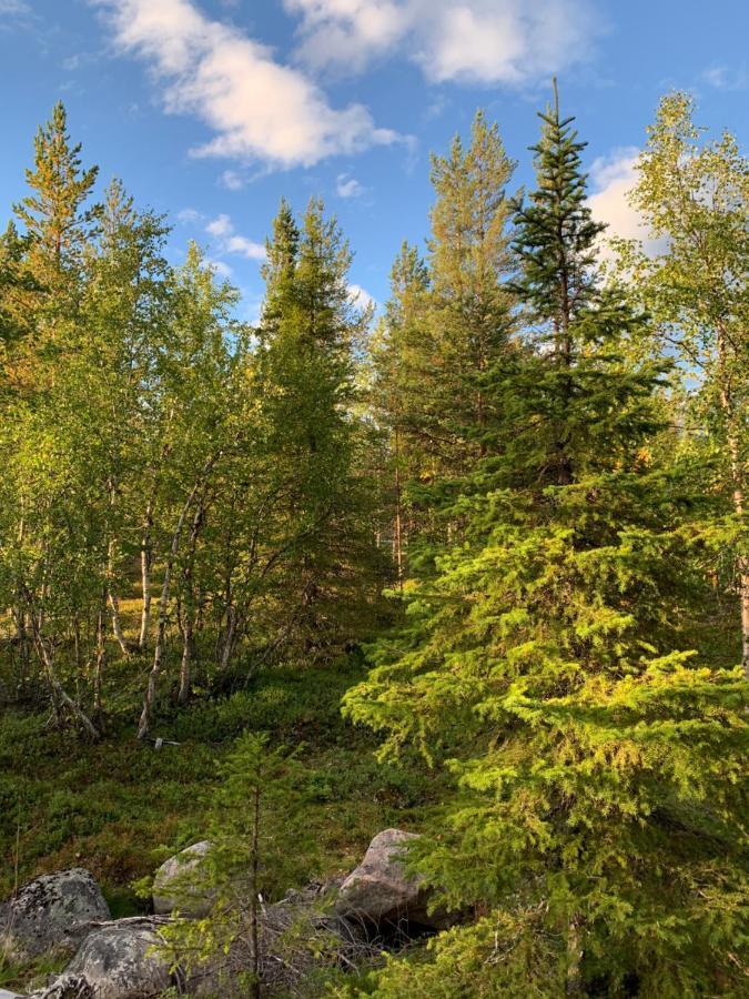 Off-Grid Cabin In Nattavaara Lapland Eksteriør billede