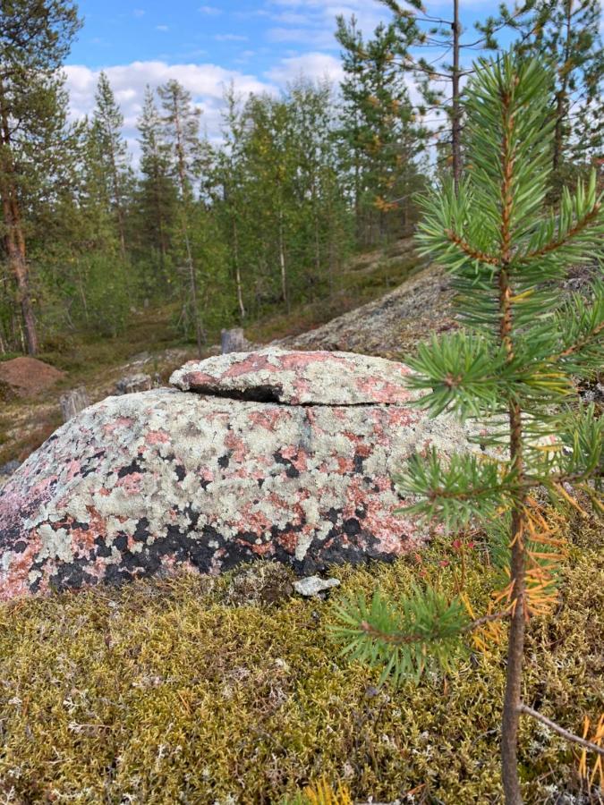 Off-Grid Cabin In Nattavaara Lapland Eksteriør billede