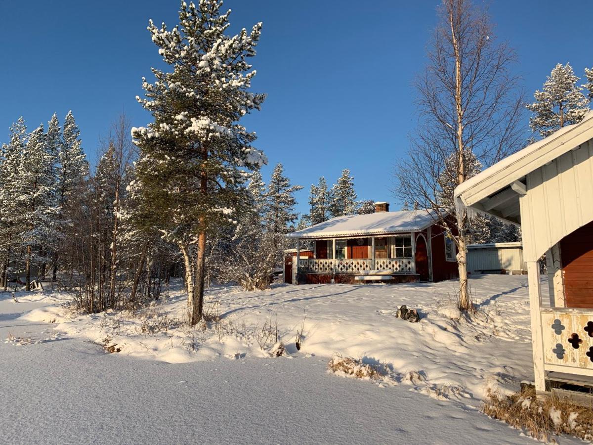 Off-Grid Cabin In Nattavaara Lapland Eksteriør billede
