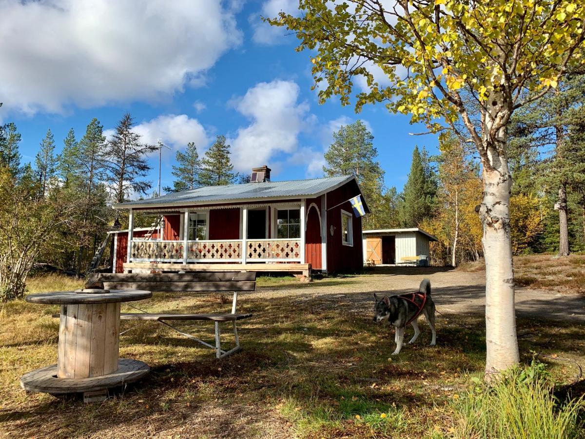 Off-Grid Cabin In Nattavaara Lapland Eksteriør billede