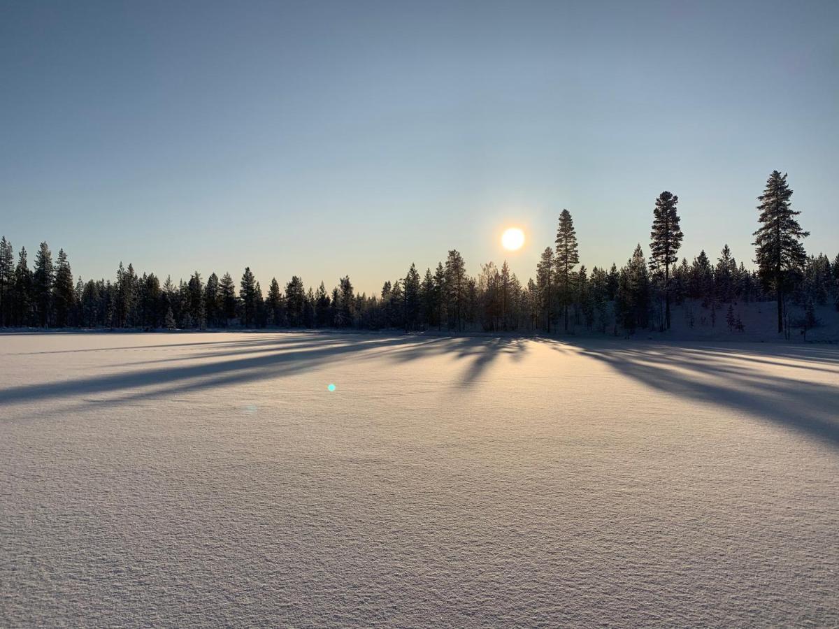 Off-Grid Cabin In Nattavaara Lapland Eksteriør billede