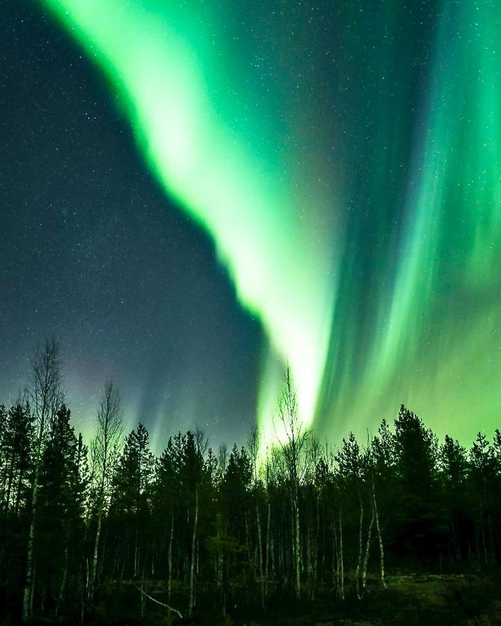 Off-Grid Cabin In Nattavaara Lapland Eksteriør billede